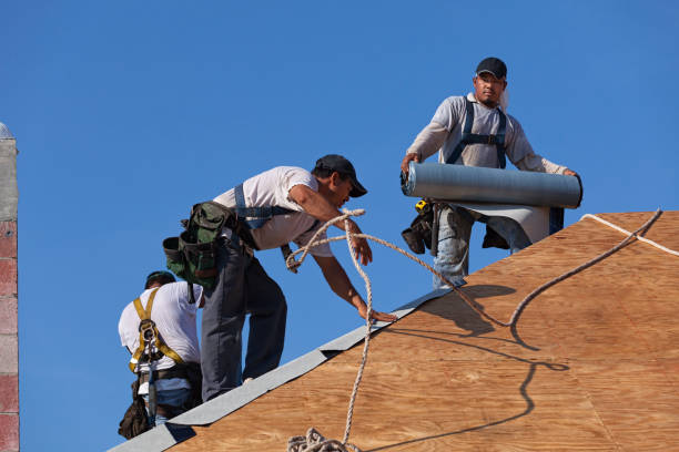 Best Best Roofing Contractors  in Hampton, TN