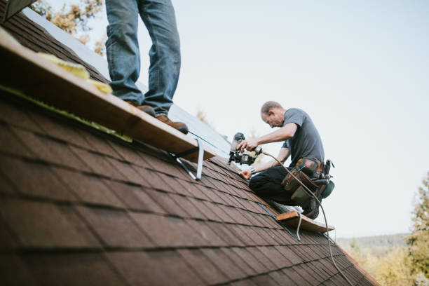 Best New Roof Installation  in Hampton, TN
